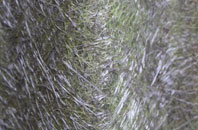 Chiseldon fibreglass roof work